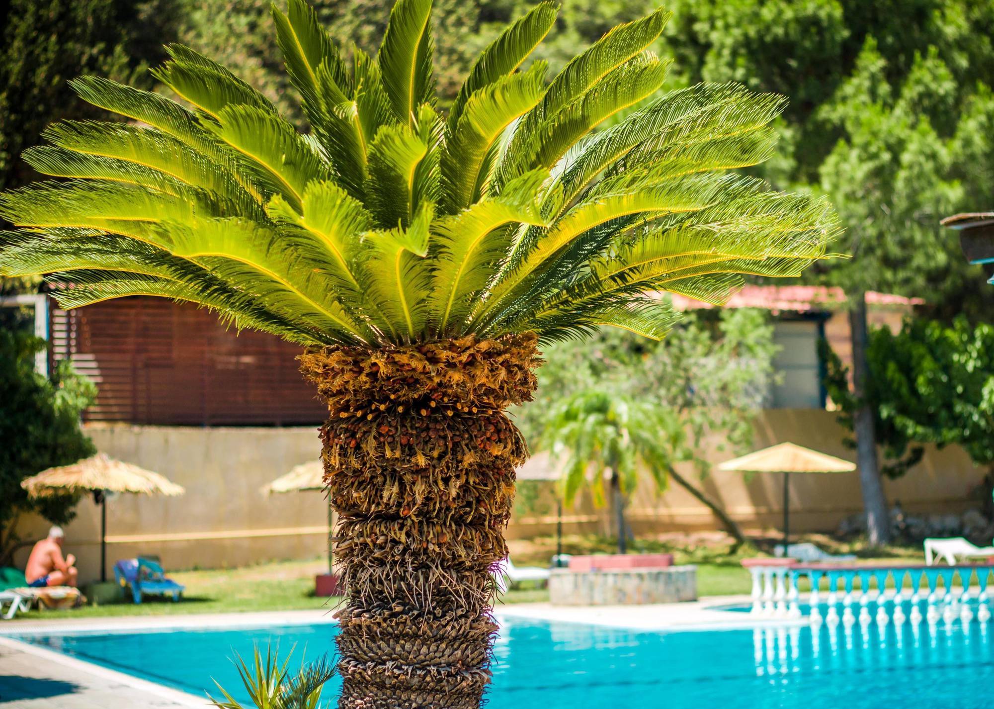 Achousa Aparthotel 3*